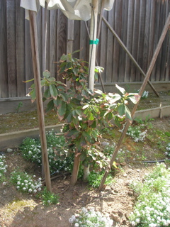 DSCN0625.JPG