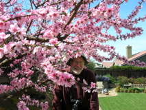 HidingInBlossoms2007