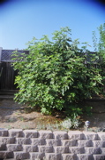 DSCN0625.JPG