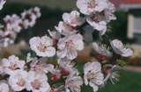 DSCN0625.JPG
