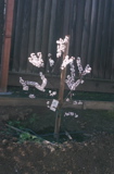 DSCN0625.JPG