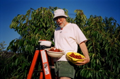 DSCN0625.JPG