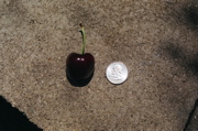 DSCN0625.JPG