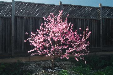 DSCN0625.JPG