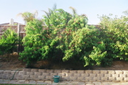 DSCN0625.JPG