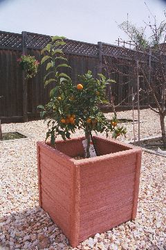 DSCN0625.JPG