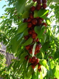 DSCN0625.JPG