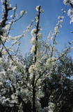 DSCN0625.JPG