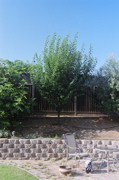 DSCN0625.JPG