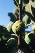 DSCN0625.JPG